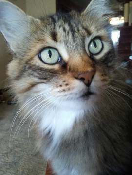 22406184_10155795884654299_5348106940831110982_n