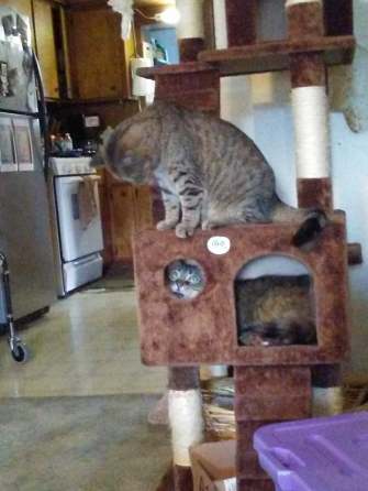 22539714_10155795889599299_7875124901529401561_n