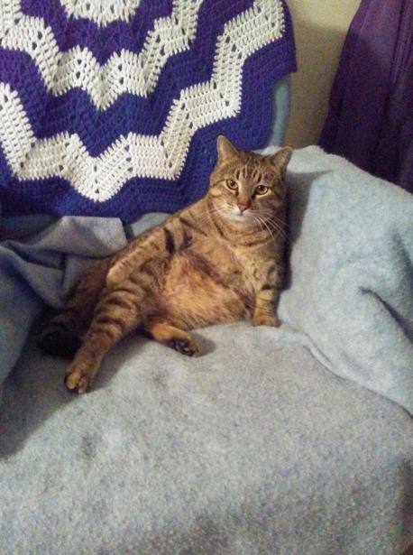 26907128_10156070864694299_1797288818467207279_n