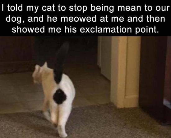 28058455_1698044020316251_6416465353322067491_n