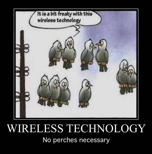 14523052_1134745703257463_8665407950437180023_n