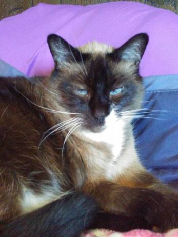 18301241_10155277492229299_2238380419531452370_n