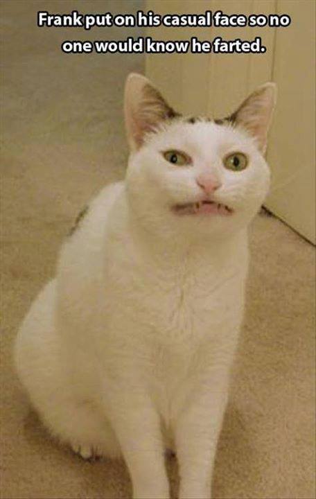 27867853_2113445135347274_7226288799000643331_n