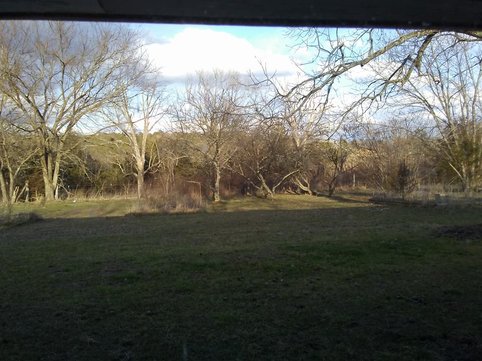 28783093_10156202868169299_2112324236243484913_n