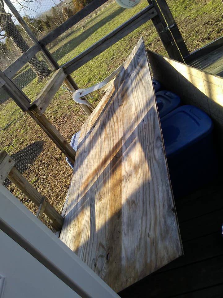 28796133_10156202869219299_8157492678459141095_n