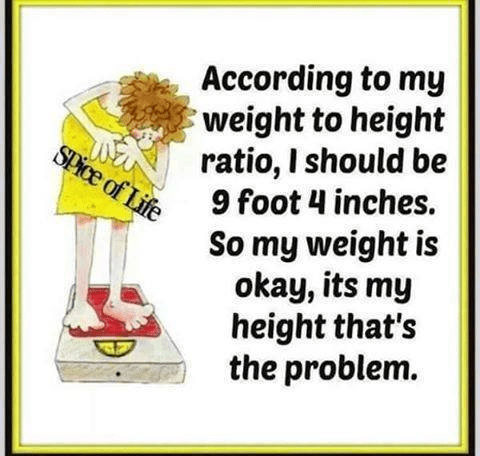 29177559_2037687833172896_1263999447759585280_n