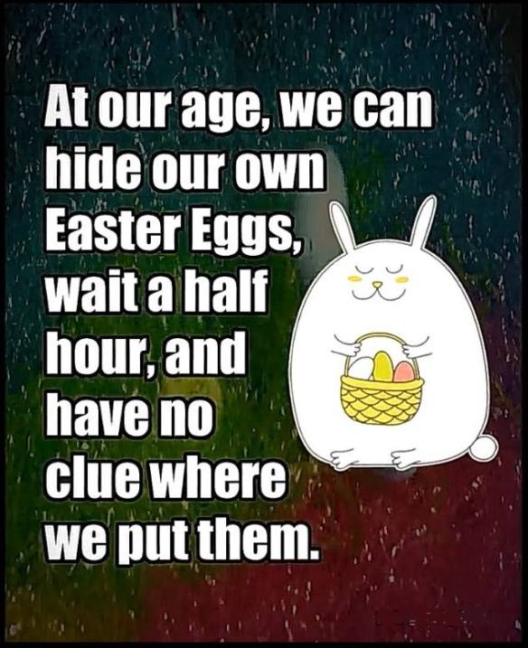 29468437_10156085380038605_4807598825625616384_n