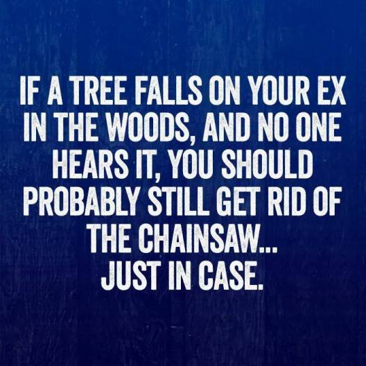 29542047_1648943568516732_3897232118074821006_n