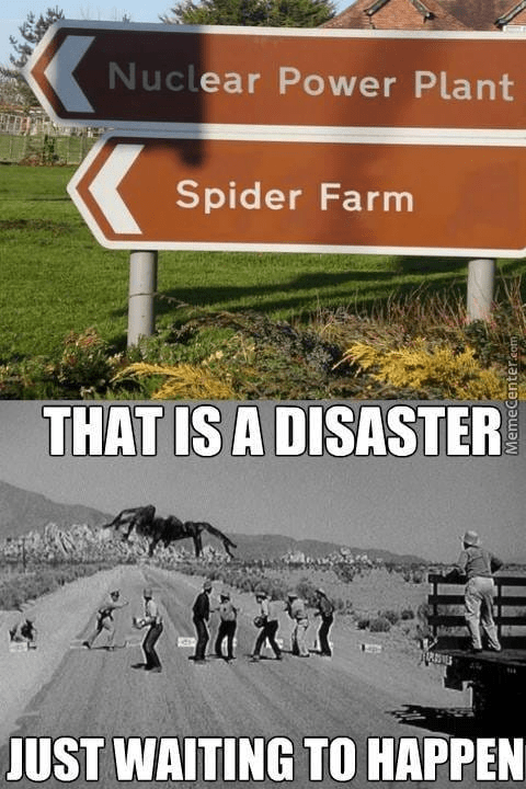 30689060_2067489336804918_8034768442168967168_n