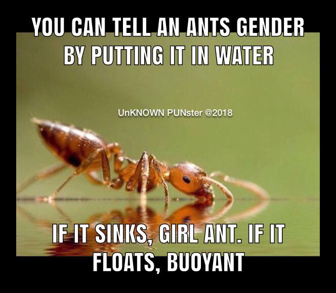 30742331_1704729589592402_81278334771658752_n