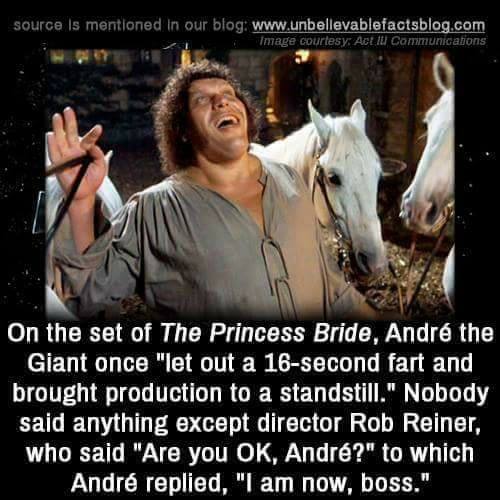 31059583_809133315952157_2991537934870673307_n