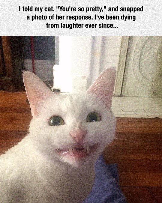 31292710_1120173914792322_3853838652501131264_n