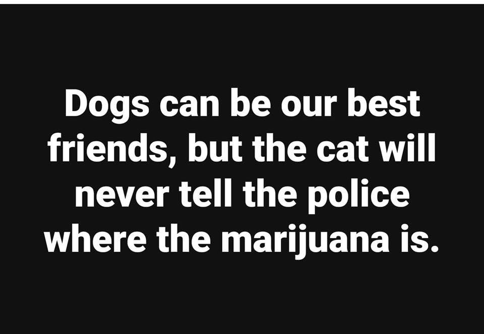 31944600_1351851924915251_1455129516815941632_n