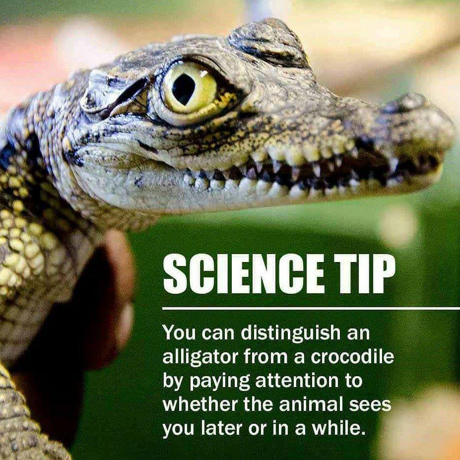 31945891_1351559768277800_3586314562791538688_n