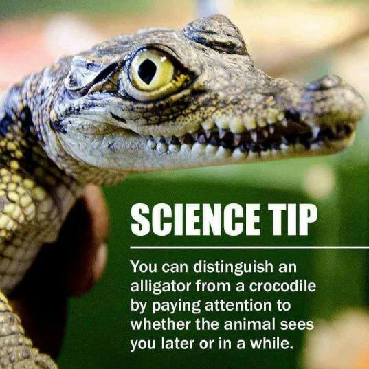 31945891_1351559768277800_3586314562791538688_n