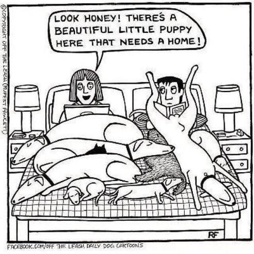 32130776_1913062192045829_4748705156026073088_n