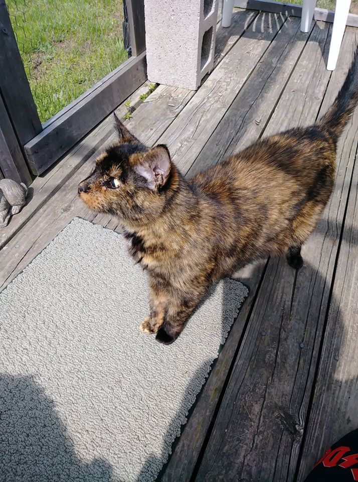 32469646_10156381582204299_4698352041779527680_n