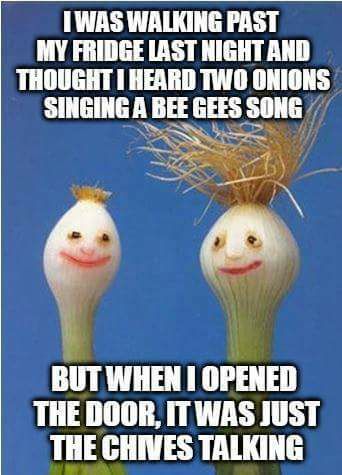 32767631_1922300447788670_5699964043276582912_n