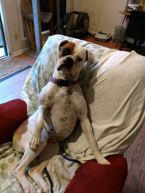 33110858_10209961622197385_7604331110436175872_n