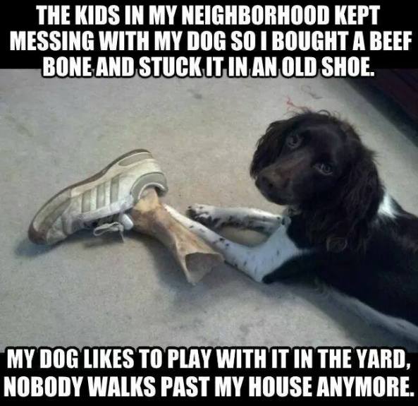 33119650_627097080977473_5343212441784287232_n