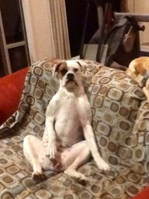 33359176_10209964789676570_3662381405721067520_n