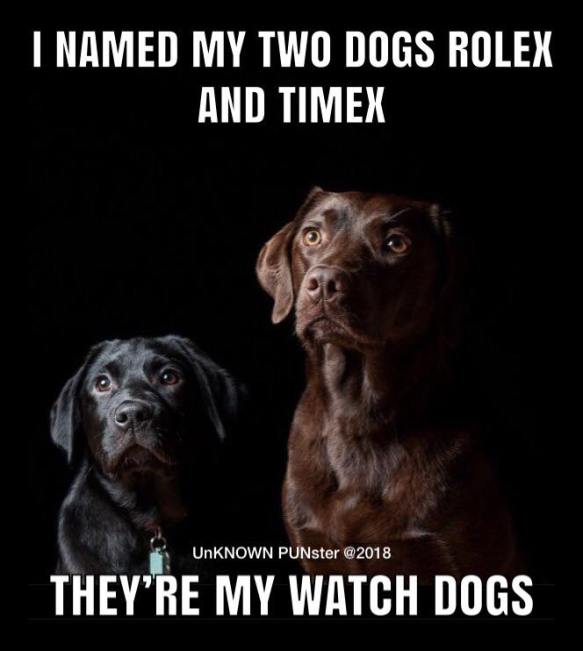 33493693_1738357582896269_7083939807562301440_n