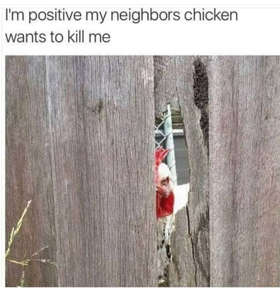 34276594_2210807878968181_2556978362715209728_n