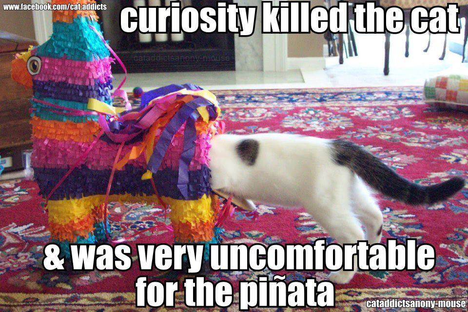 34556031_1850960134950102_3085207826285461504_n