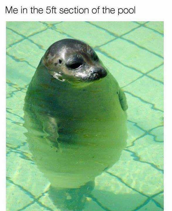 34582122_1872977079661397_7223942285279363072_n