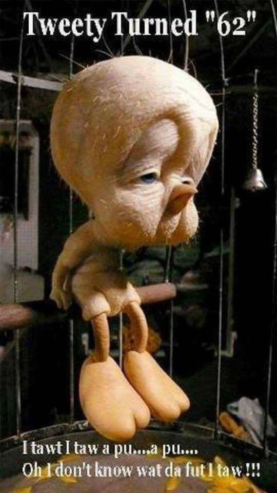 34606686_634706040216577_5088057067613192192_n