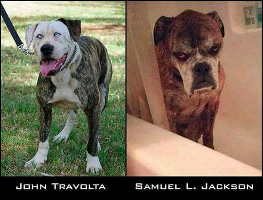 34791736_475365679563857_85015557614600192_n