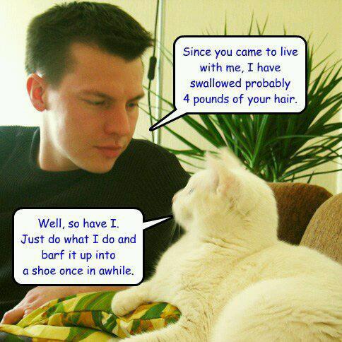 34984354_1930922290273066_3494275101560406016_n