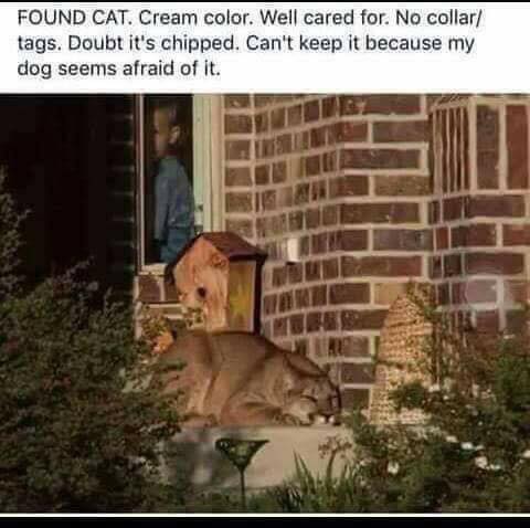 35114580_1851707524885448_8493447846752681984_n