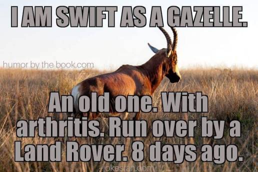 35849114_1161539227340636_6288930030948974592_n