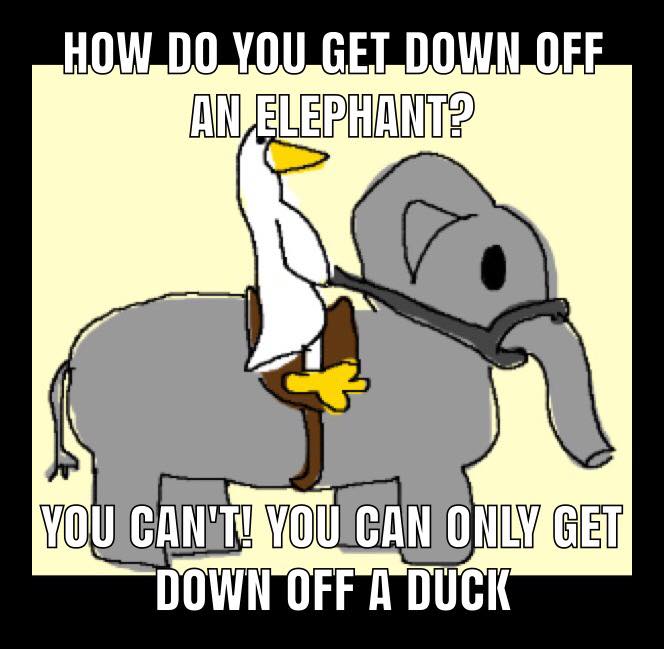 35923153_1776644449067582_2167896948953055232_n