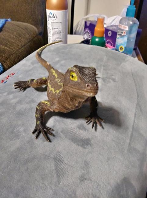 36302480_10156491300084299_4406257427717029888_n