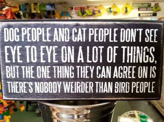 36311562_2200883039927193_2834136798509137920_n