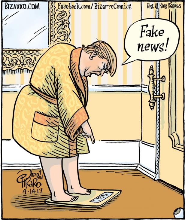 36314786_1781883995210294_3485603017128935424_n