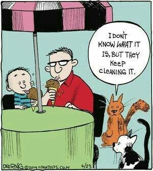 36337553_1976124155739632_4120515912098906112_n