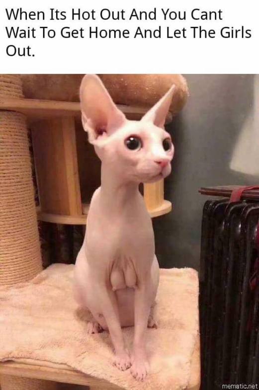 36352008_2129113907323636_4593616820430176256_n