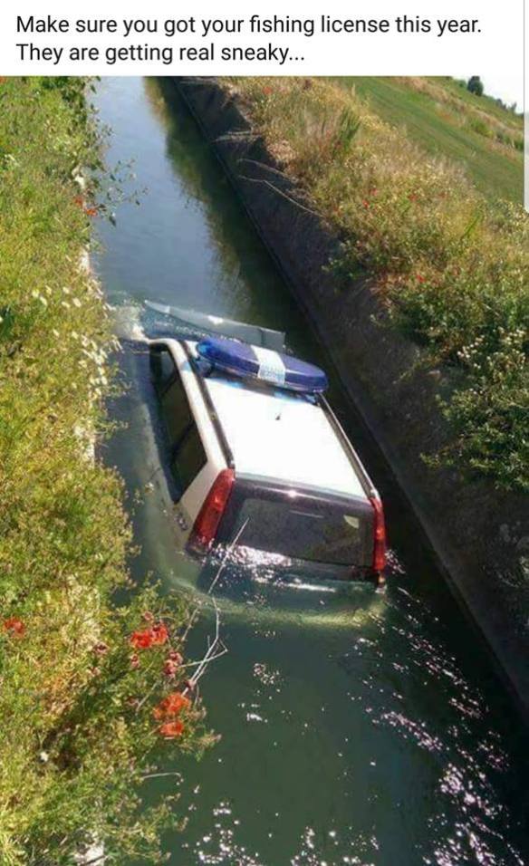 36303273_1917248754973087_3195571546441646080_n