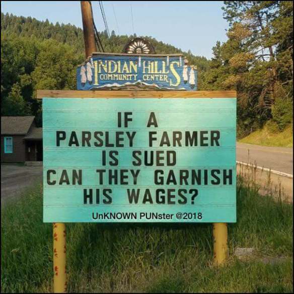 36684024_10156510476079299_1744158769769611264_n