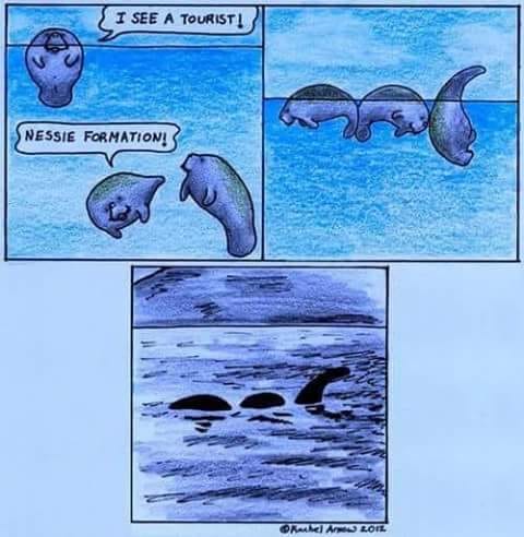 36781712_1860711110658800_3592199114663657472_n