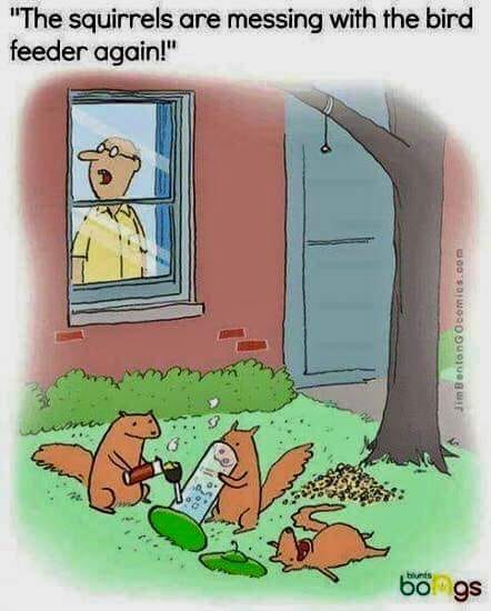 37362856_1751697814913959_7121235538329206784_n