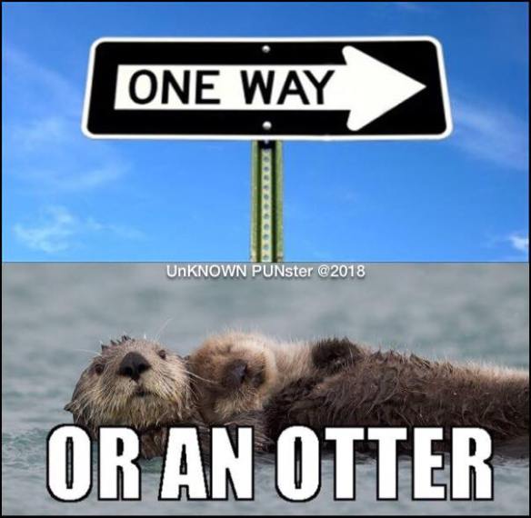 37739781_1821485111250182_64407625923559424_n