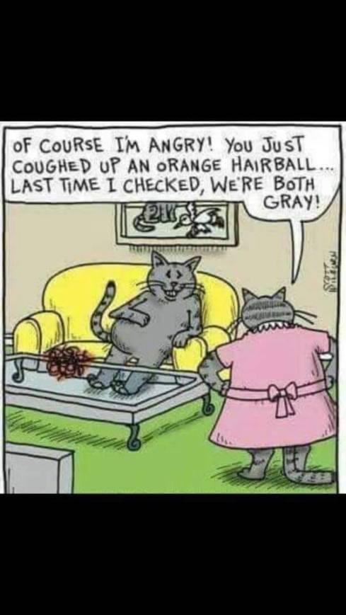 38653254_10212244831898768_235780630669950976_n