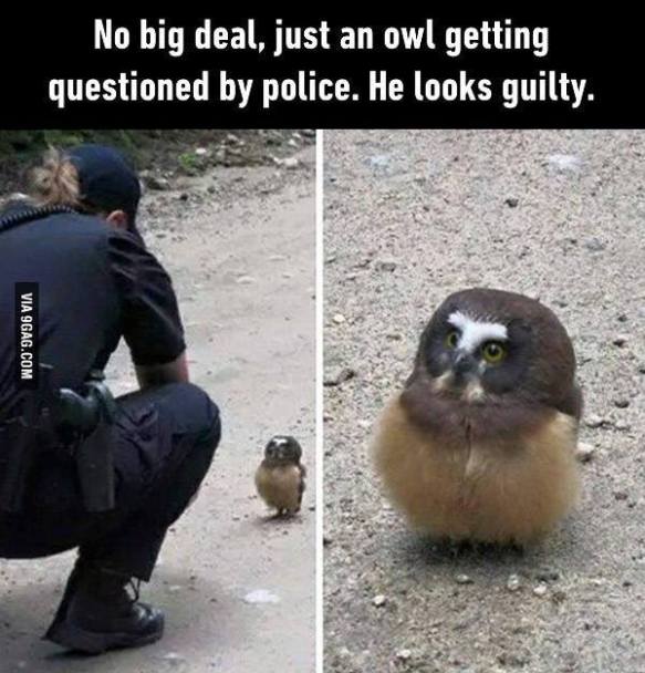 38691050_1927454300880341_7428216921356500992_n