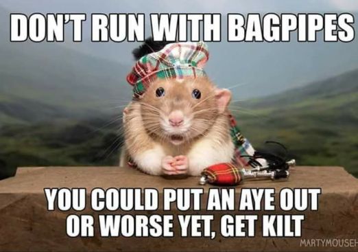 38764174_1218978491596709_2528668498100486144_n