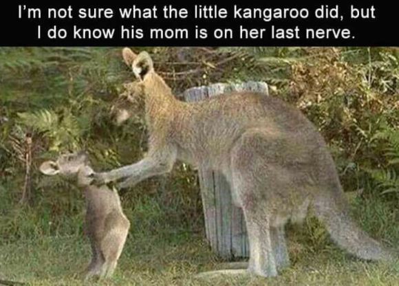 38810458_1220268324801059_520220453369806848_n