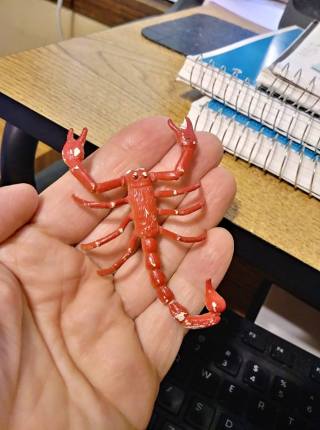 39127077_10156601030759299_2263357510549241856_n